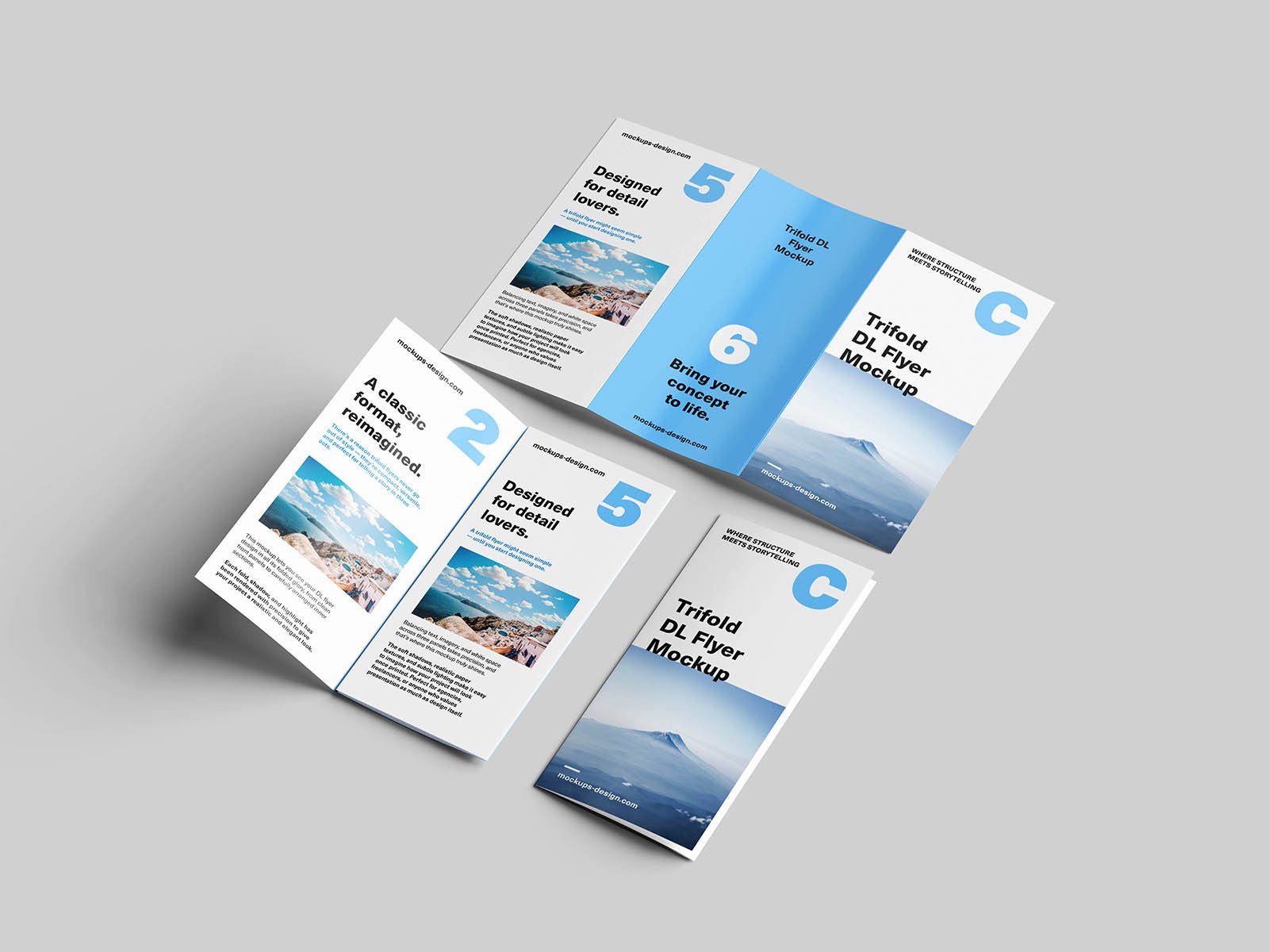 DL_Trifold_DL_Flyer_Mockup_2